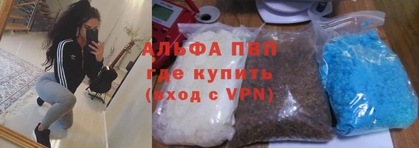 дмт Абаза