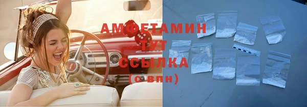 метадон Алексин