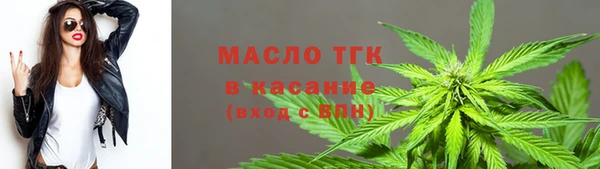 дмт Абаза