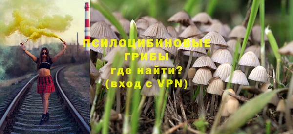 дмт Абаза