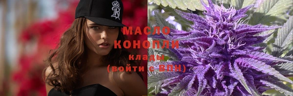 дмт Абаза