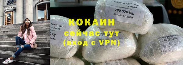 дмт Абаза